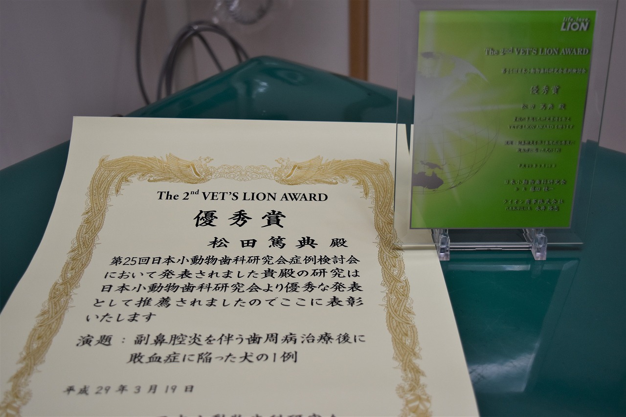 VET'S LION AWARD